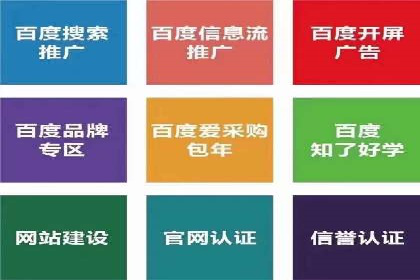 推广竞价策略优化：借鉴成功案例实现高效转化